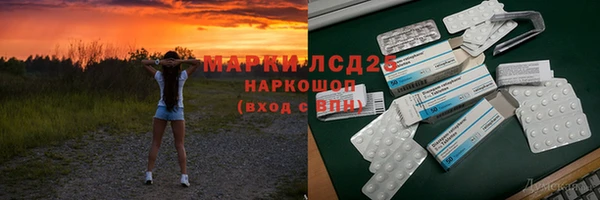дживик Няндома