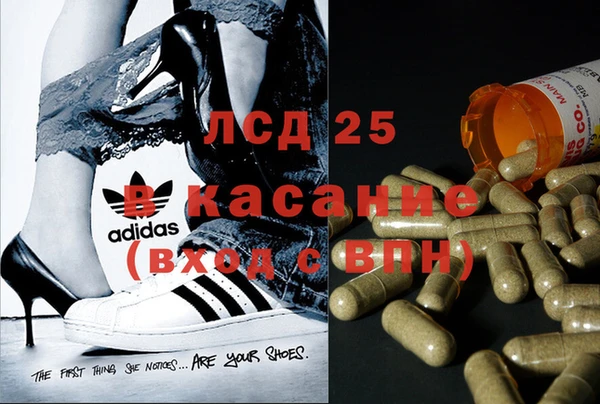 дживик Няндома