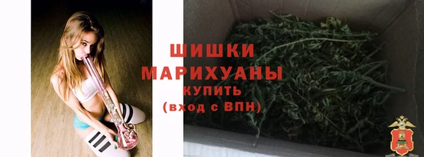 дживик Няндома