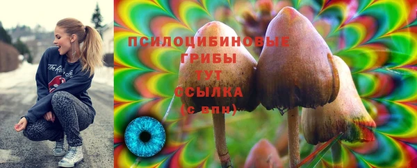 ешки Нягань