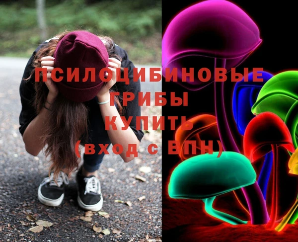 дживик Няндома