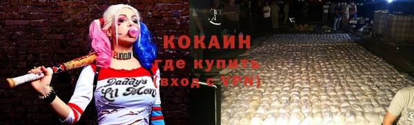 дживик Абинск